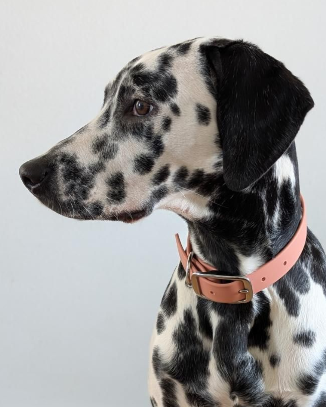 Collier waterproof Terracotta