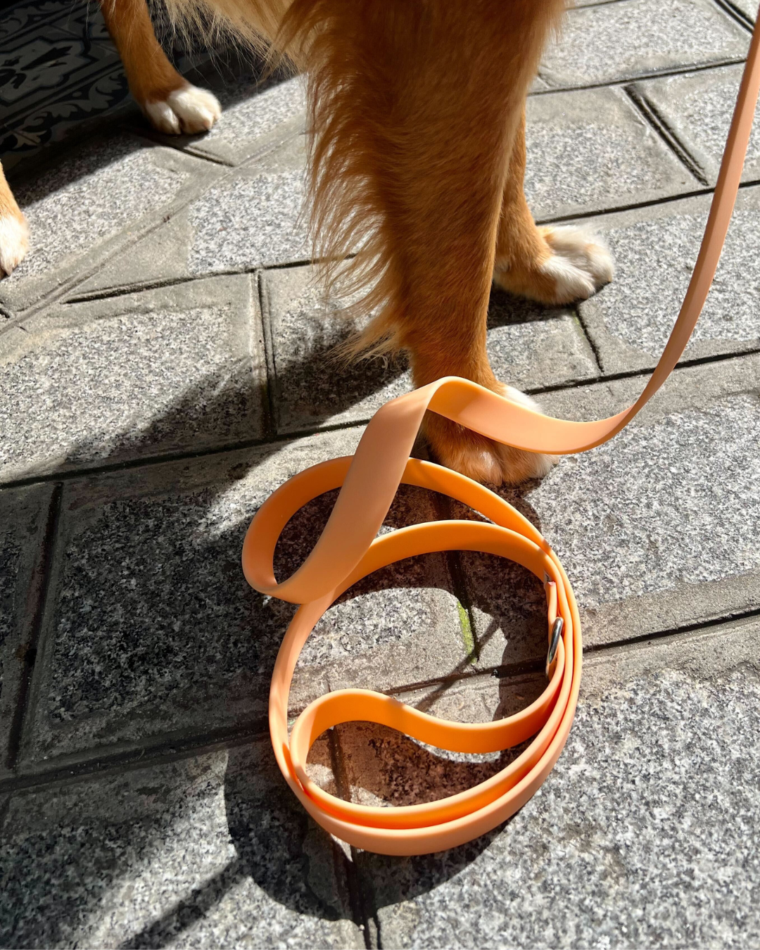 Laisse waterproof orange Pêche