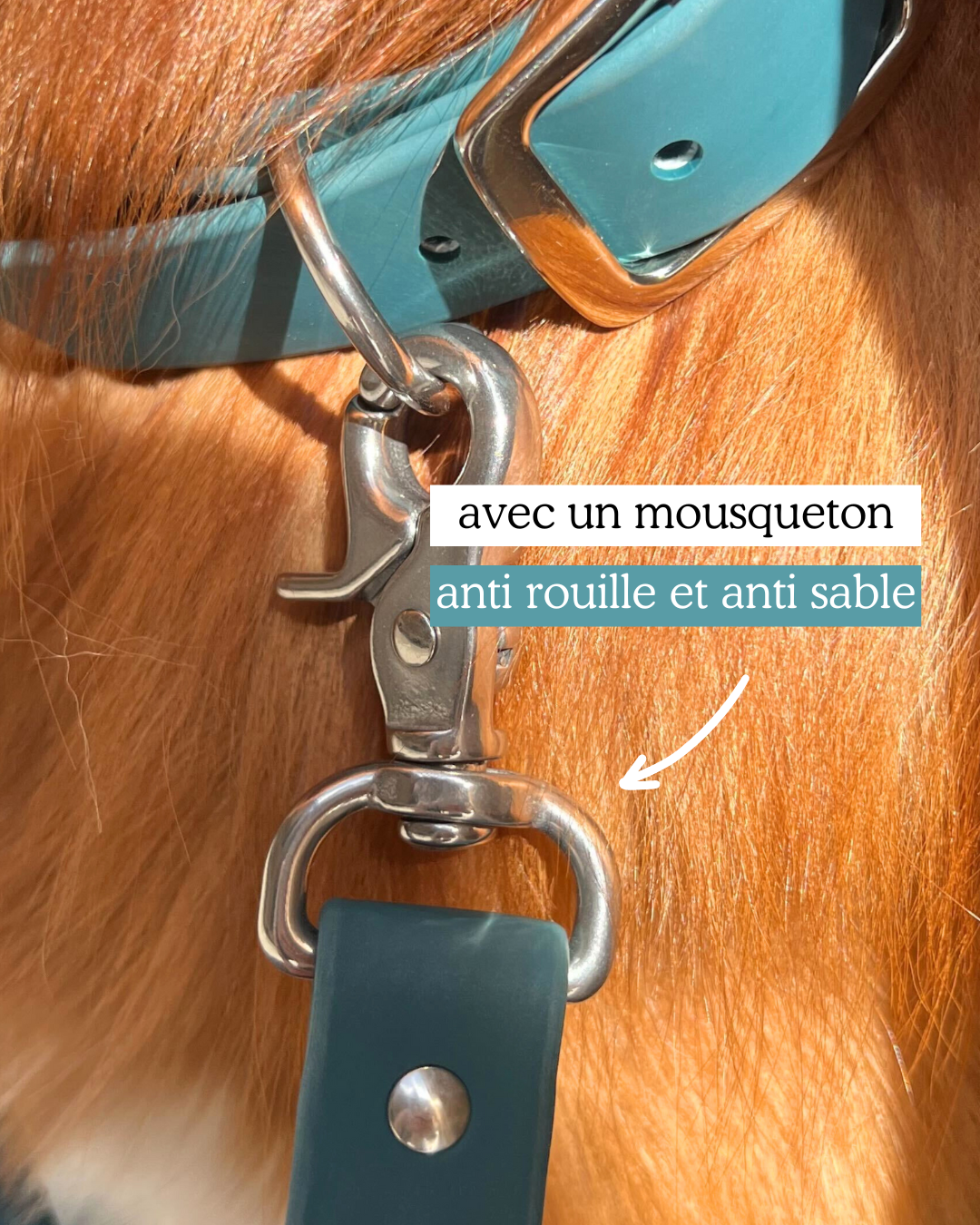 Laisse waterproof vert Muzon