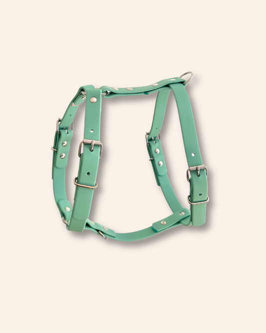 Harnais waterproof vert Lagon